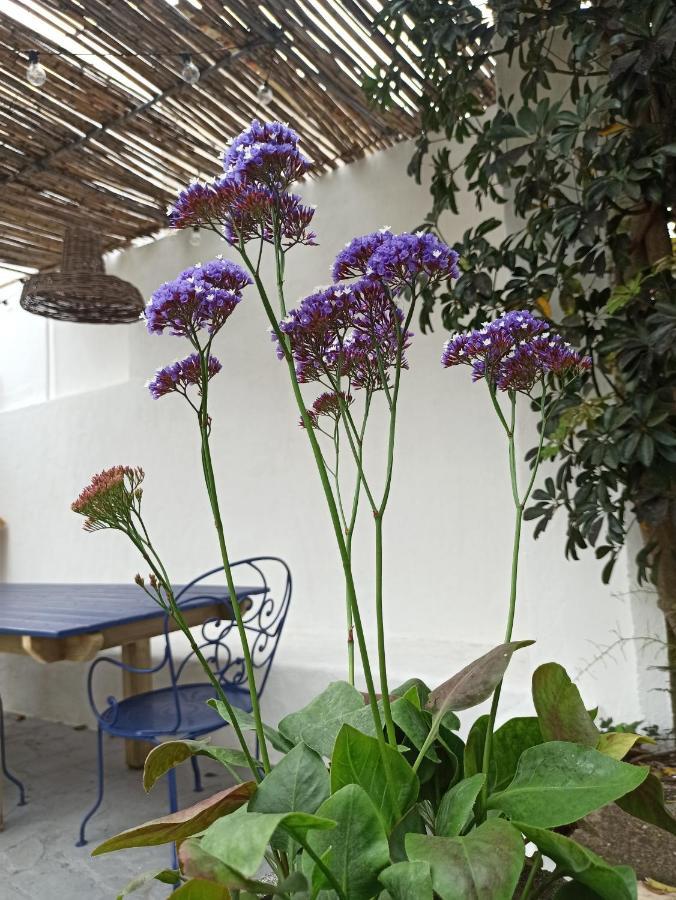 Surf & Kite - Villa Nortada Charneca  Exterior photo